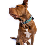 Bora Bora Sambboho dog collar (with center D-ring)