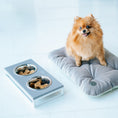 Load image into Gallery viewer, Tomas Pillow for Small Dogs - Southlake Paws