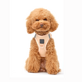 Load image into Gallery viewer, DOGISTRY SoHo Dog Harness - Dune