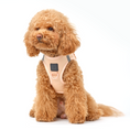 Load image into Gallery viewer, DOGISTRY SoHo Dog Harness - Dune