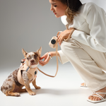 City Dog Leash - Dune