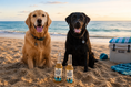 Load image into Gallery viewer, Summer Booze Bundle | 4ct