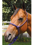 Load image into Gallery viewer, Jeffers Easy-On Clip Nylon Rope Horse Halter with Lead