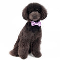 Load image into Gallery viewer, EasyBOW Sequin