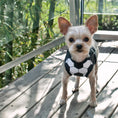 Load image into Gallery viewer, EasyGO Soccer