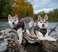 Load image into Gallery viewer, EcoBark Step In Dog Harness - XXXS to Small Breeds- Reflective Soft Mesh Harness for Teacup, Small Dogs and Puppies / Buffalo Plaid