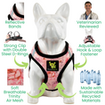 Load image into Gallery viewer, EcoBark Step In Dog Harness - XXXS to Small Breeds- Reflective Soft Mesh Harness for Teacup, Small Dogs and Puppies / French Floral
