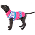 Load image into Gallery viewer, Elsa Dog Sweater