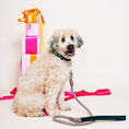 Load image into Gallery viewer, Emerald Washable Velvet Cat & Dog Collar - image 2