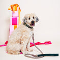 Load image into Gallery viewer, Dog Collars Premium Emerald Washable Velvet Cat & Dog Collar