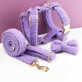 Load image into Gallery viewer, Teddy Purple Set