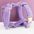 Load image into Gallery viewer, Teddy Purple Set