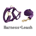Load image into Gallery viewer, Velvet Purple Set
