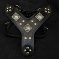 Load image into Gallery viewer, The "Eros" all Black Harness