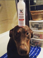 Exfoliating Butter Wash Dog Shampoo Gallons - With Natural Jojoba Beads