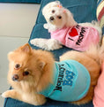 Load image into Gallery viewer, Parisian Pet 'Mommy's Boy' Cotton Dog Apparel – Comfortable T-Shirt for Small Dogs and Cats, Light Blue-Valentine's Day