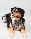Load image into Gallery viewer, FLORAL BANDANA - Southlake Paws