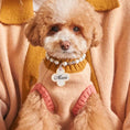 Load image into Gallery viewer, Nooee Pet Fawn Sweater