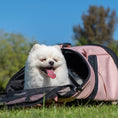 Load image into Gallery viewer, Ultralight Pro Pet Backpack Carrier, Front-Facing Cat-Dog Travel Bag