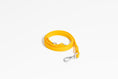 Load image into Gallery viewer, Luxe Leash - Soleil - Southlake Paws