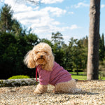 Personalized Red Running Dog Sweatshirt