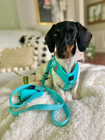 City Dog Leash - Fifth Avenue Blue