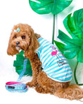 Load image into Gallery viewer, Parisian Pet 'Flamingos' Dog Shirt – Lightweight & Breathable Summer Outfit for Small Dogs & Cats, Light Blue and White Stripes
