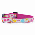Load image into Gallery viewer, Up Country Spring Fever Cast Brass Dog Collar