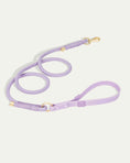 Load image into Gallery viewer, Flow Rope Leash - Lilac