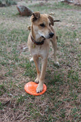 Load image into Gallery viewer, Bottle Top Flyer Durable Rubber Retrieving Frisbee - Orange