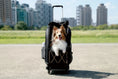 Load image into Gallery viewer, Champion Large Dog Carrier Backpack with Window