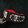Load image into Gallery viewer, The "Kennel" collar- personalized!