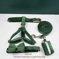 Load image into Gallery viewer, Forest Green Velvet Set