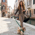 Load image into Gallery viewer, EcoBark Step In Dog Harness - XXXS to Small Breeds- Reflective Soft Mesh Harness for Teacup, Small Dogs and Puppies / Forest Green