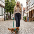 Load image into Gallery viewer, EcoBark Step In Dog Harness - XXXS to Small Breeds- Reflective Soft Mesh Harness for Teacup, Small Dogs and Puppies / Forest Green