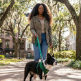 Load image into Gallery viewer, EcoBark Forest Green Dog Harness - Over-the-Head Vest Halter Soft Mesh for Small to Medium Dogs