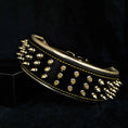 Load image into Gallery viewer, The "Gold Giant" collar