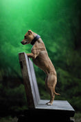 Load image into Gallery viewer, The "Korona" collar BLACK EDITION