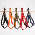 Load image into Gallery viewer, Found Classic Navy Cotton Rope Dog & Cat Harness – Durable, Adjustable & Stylish | Found My Animal