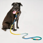 Azure Cotton Rope Dog Leash by Found My Animal, Adjustable