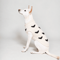 Load image into Gallery viewer, Found My Animal Bat Dog Sweater