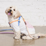 Found My Animal Big Full Heart Animal T-Shirt, Heather Gray + Mauve