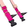 Load image into Gallery viewer, Found My Animal Jolie Flat Web Dog Collar