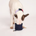 Load image into Gallery viewer, Found My Animal Midnight Cotton Canvas Collapsible Dog Water Bowl