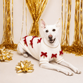 Load image into Gallery viewer, Found My Animal Red Ribbon Dog Sweater