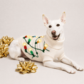 Load image into Gallery viewer, Found My Animal Vintage Lights LED Dog Sweater