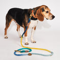 Load image into Gallery viewer, Found My Animal X Petco Azure Cotton Rope Dog Collar