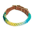 Load image into Gallery viewer, Found My Animal X Petco Azure Cotton Rope Dog Collar