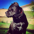 Load image into Gallery viewer, "Frenchie" collar