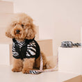 Load image into Gallery viewer, Frenchie Dog Hoodie - Zebra